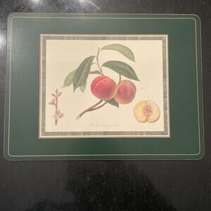 Vintage Pimpernel Cork Backed Placemat “the Red Magdalene Peach”